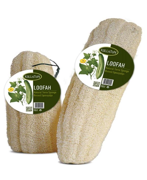 Prírodná loofah - stredná - Image 2